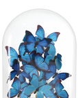 Rue de Bac Large Butterflies