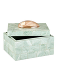 Fiona Box