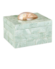 Fiona Box