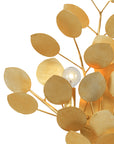 Lunaria Gold Wall Sconce