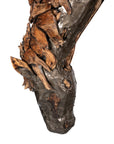 Mustang Horse Armored Sculpture Grazing, Natural Bronze Finish