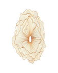 Poppy Flower Wall Art Copper, LG - Maison Vogue