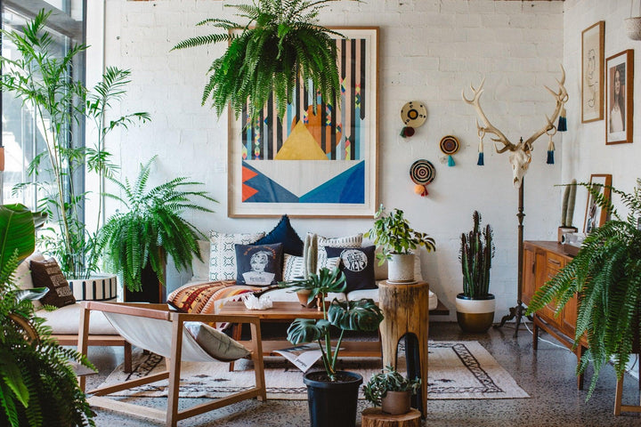 Top Indoor Plants for Luxury Apartments - Maison Vogue