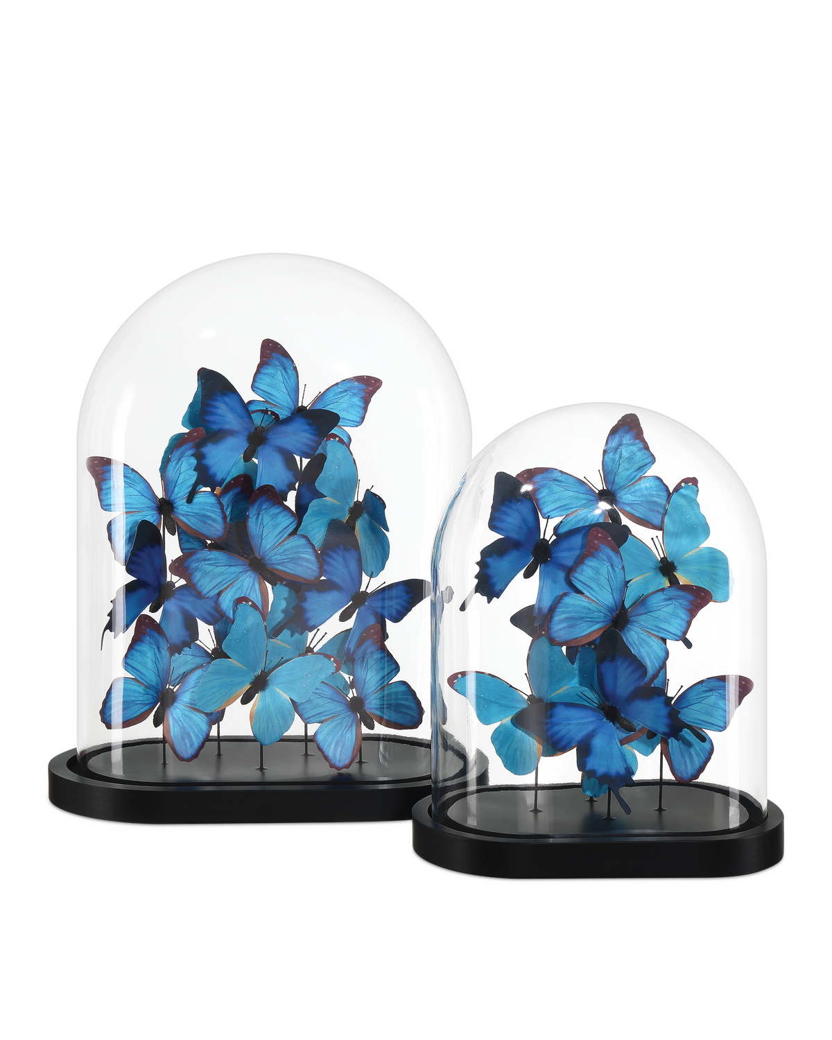 Rue de Bac Large Butterflies