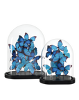 Rue de Bac Large Butterflies