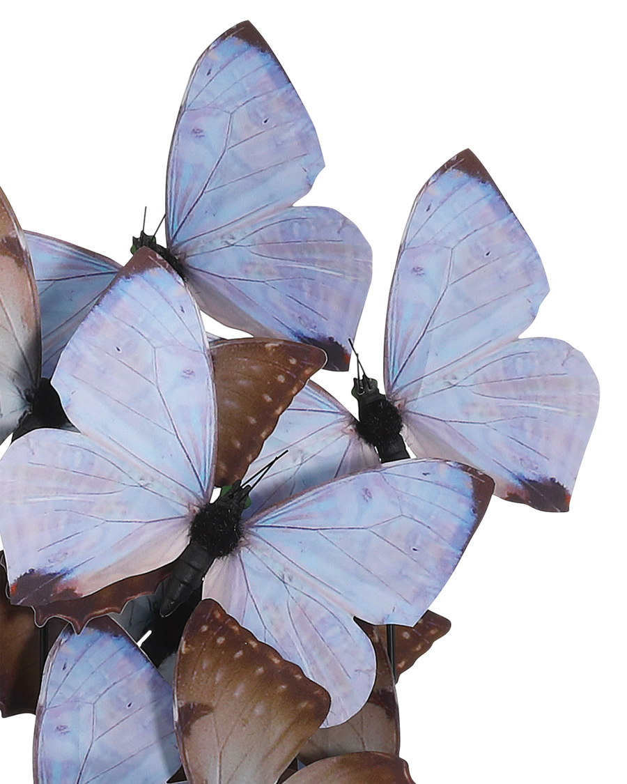 Rue de Bac Lilac Medium Butterflies