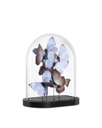 Rue de Bac Lilac Medium Butterflies
