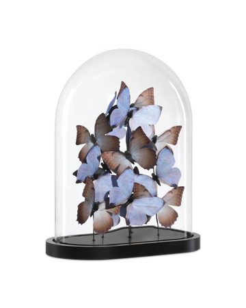 Rue de Bac Lilac Large Butterflies