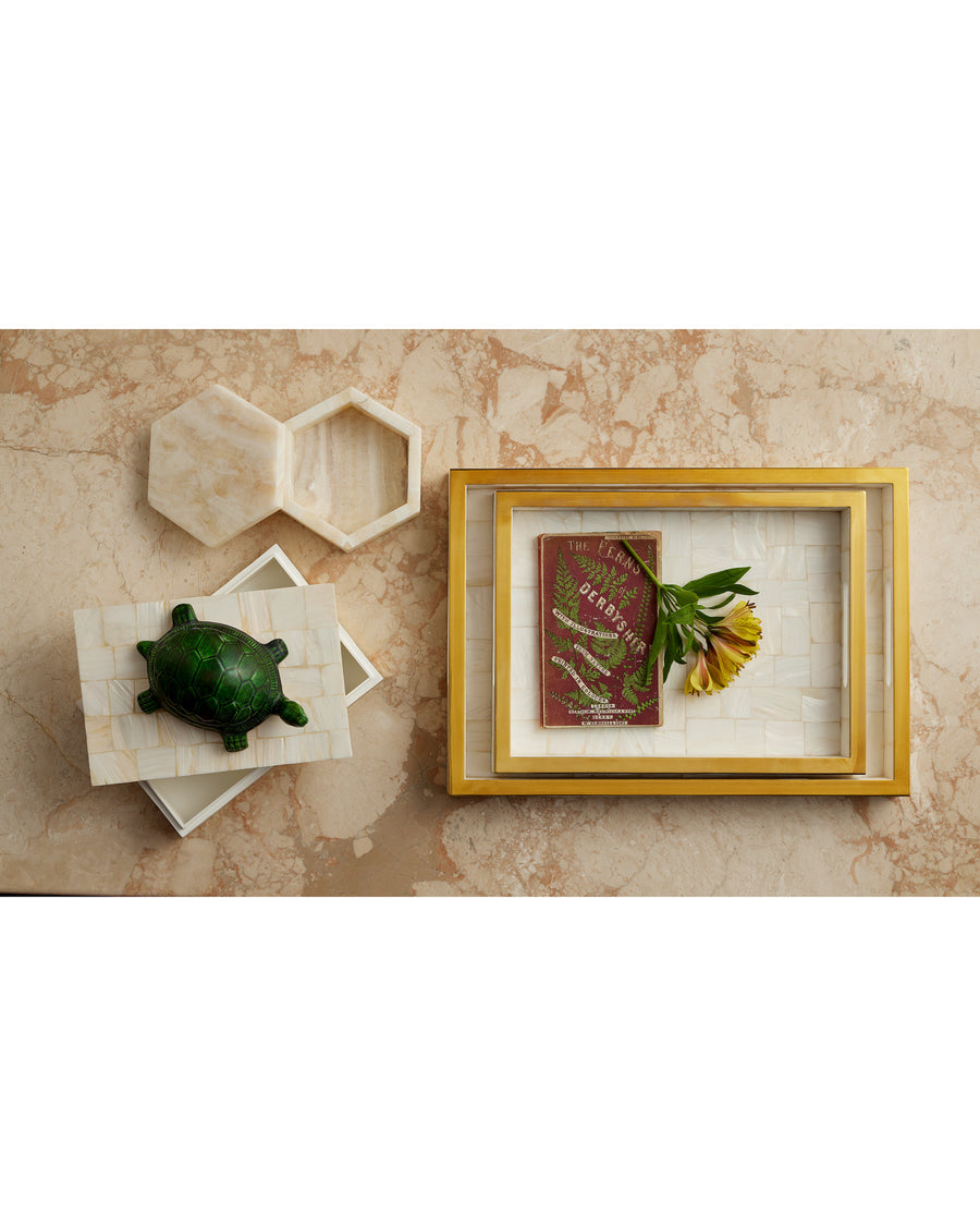 Casey Mother of Pearl Tray Set of 2