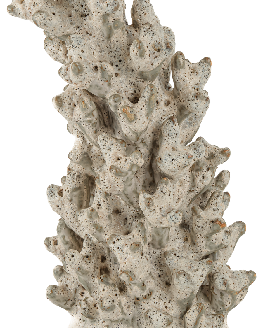 Staghorn White Coral Object