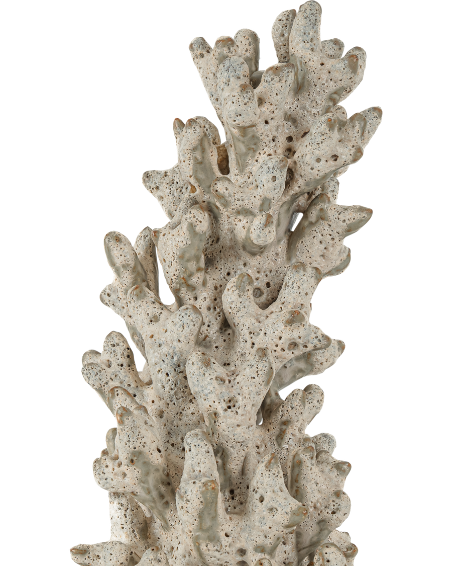 Staghorn White Coral Object