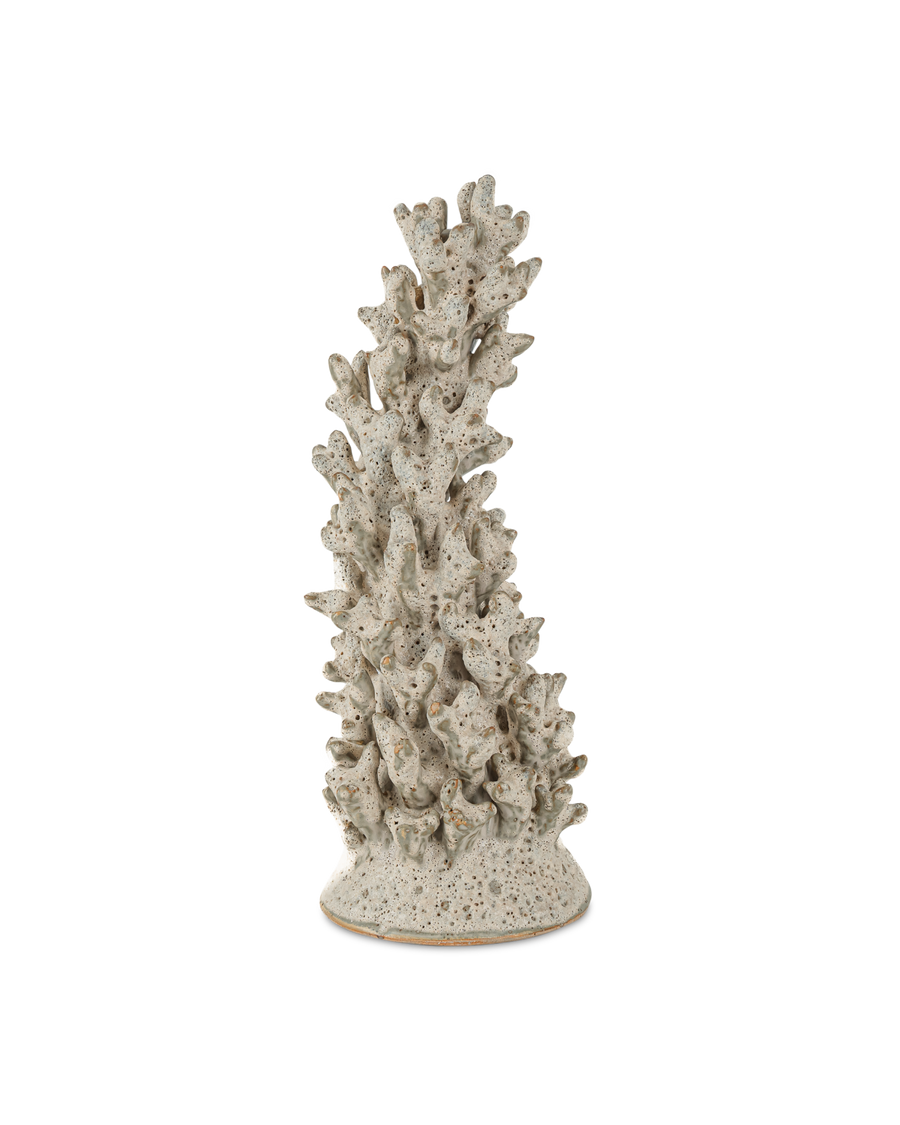 Staghorn White Coral Object