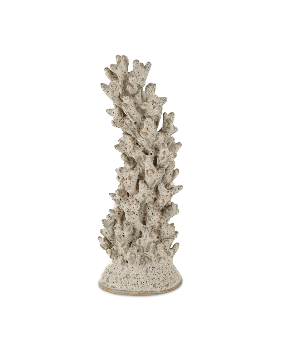 Staghorn White Coral Object