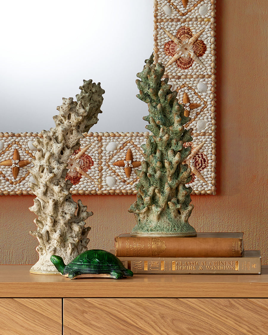 Staghorn White Coral Object