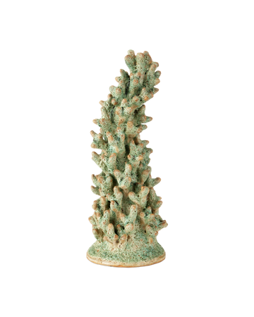 Staghorn Green Coral Object