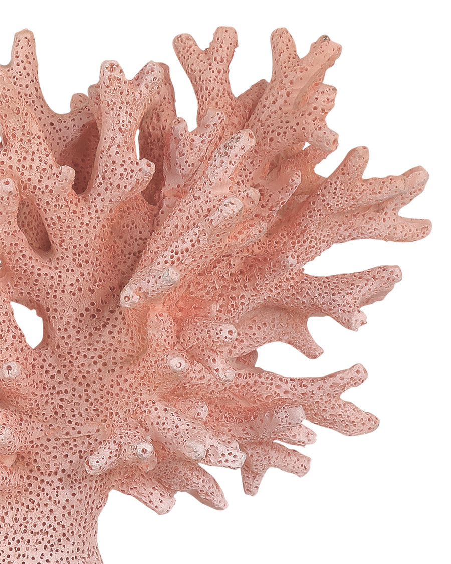 Fire Coral Set of 2
