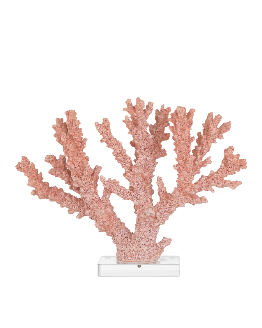 Fire Large Coral