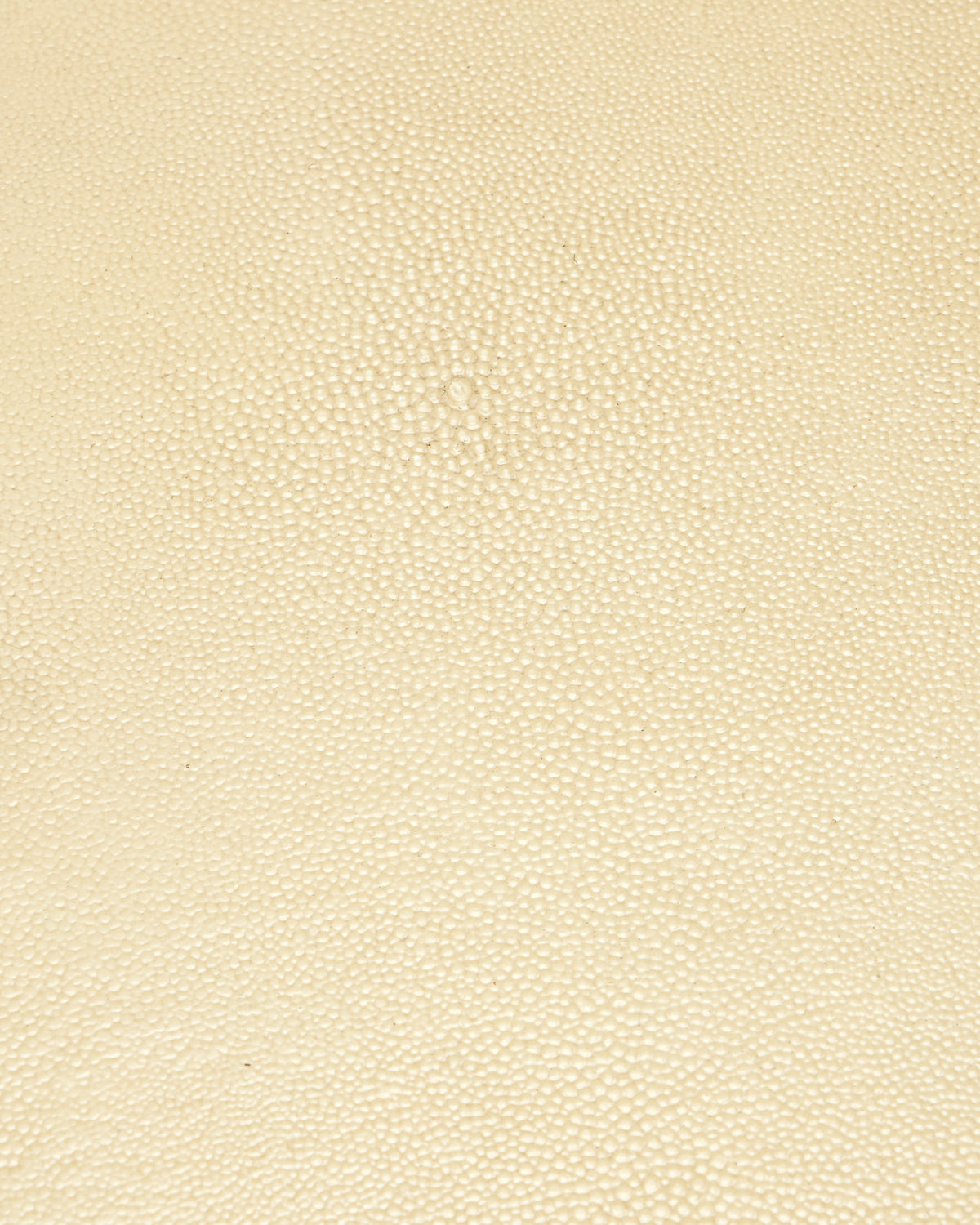 Evie Shagreen Writing Desk