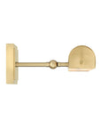 Pendleton Large Brass Picture Light