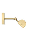Pendleton Large Brass Picture Light