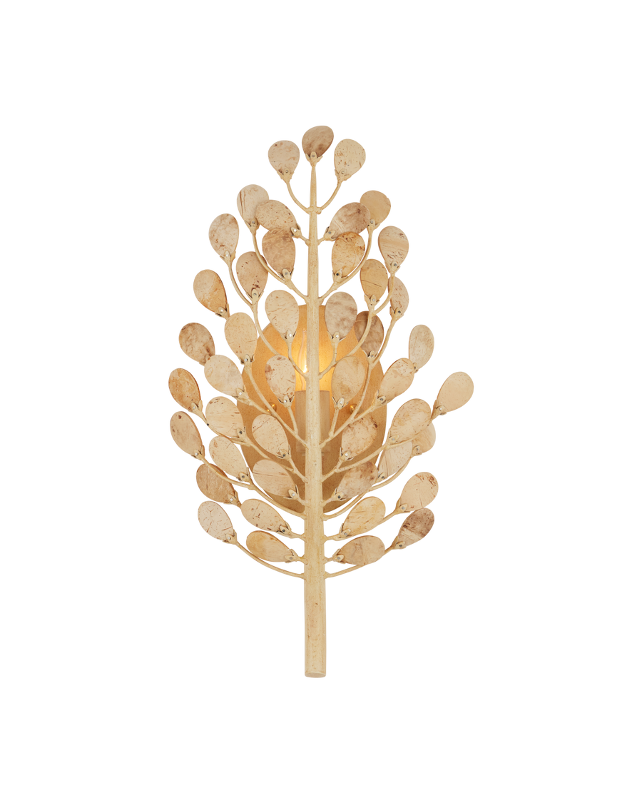 Maypan Wall Sconce