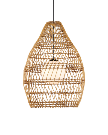 Fishtrap Outdoor Pendant
