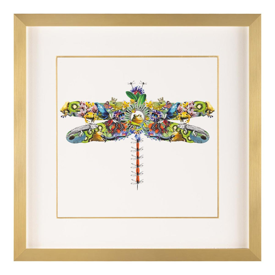 Amy Shaw's Fantasy World Collection: Dragonfly
