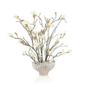 Coffee Magnolias