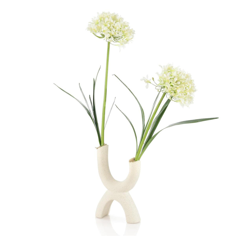 Mid-Century Agapanthus