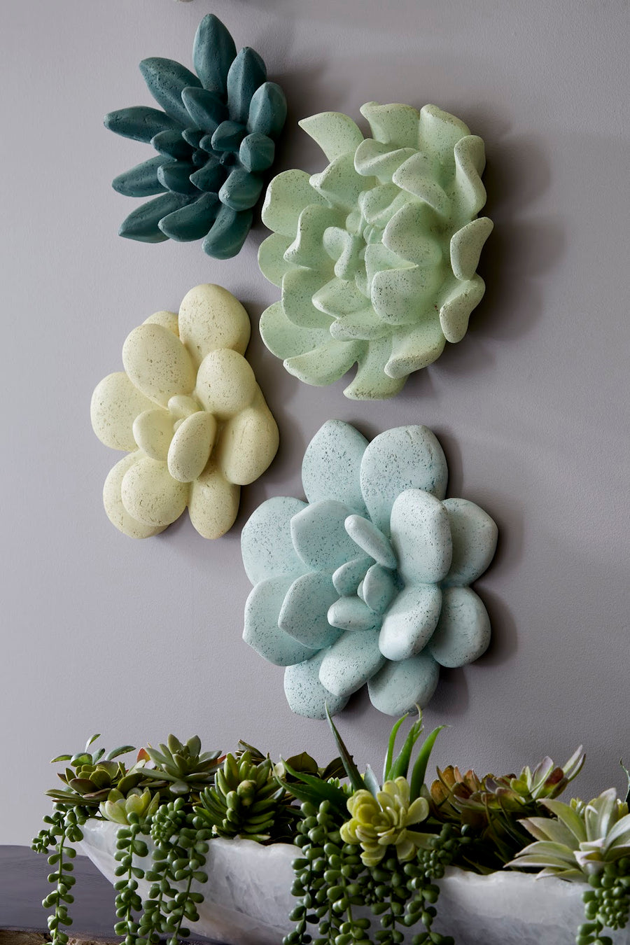 Laui Sage Succulent Wall Art