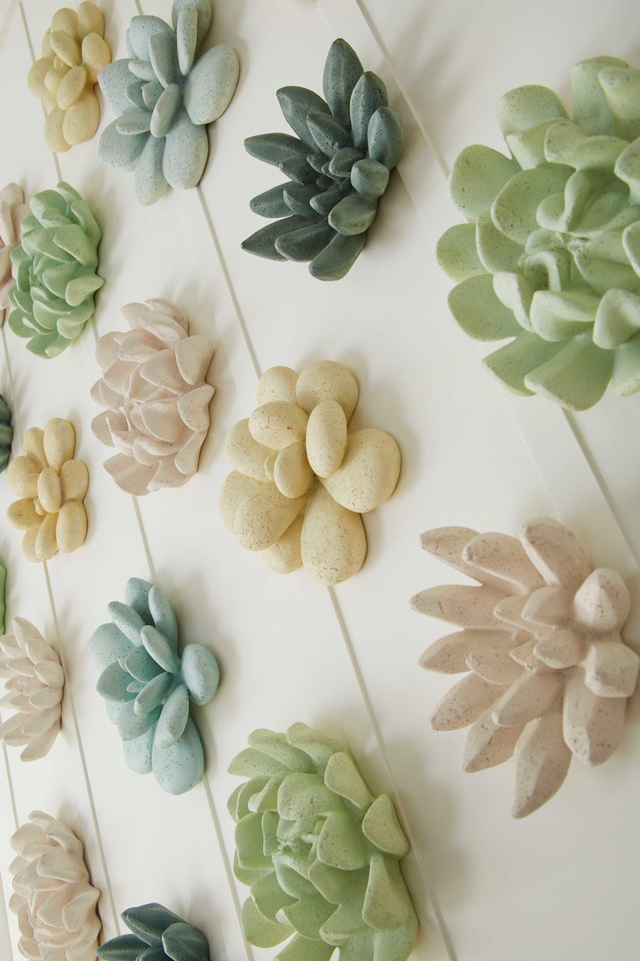 Laui Sage Succulent Wall Art