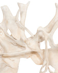 Cast Root Wall Decor, Faux Bleached