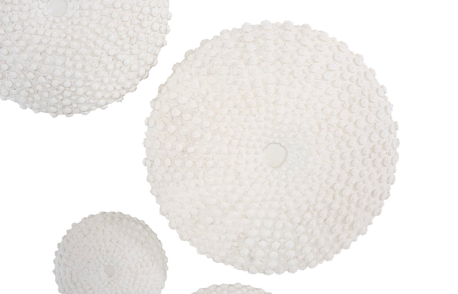 Sea Urchin Wall Art, Set Of 4