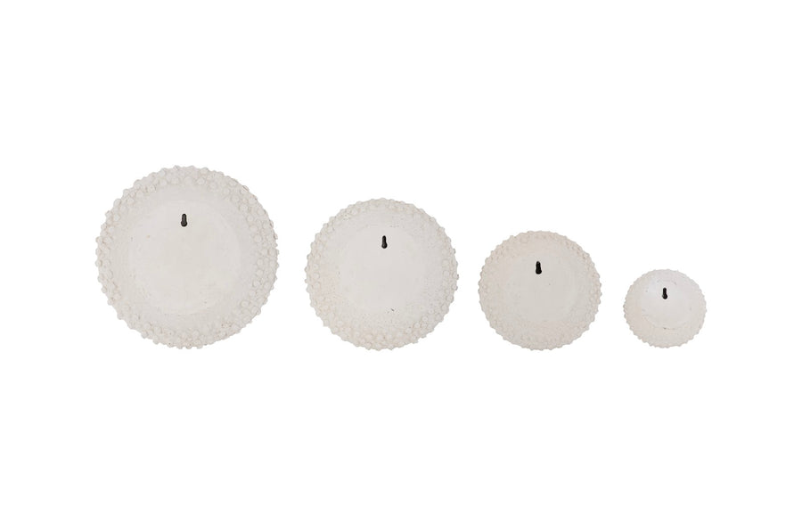 Sea Urchin Wall Art, Set Of 4