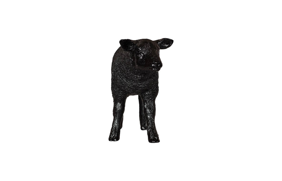Texelaar Sheep, Lamb, Gel Coat Black