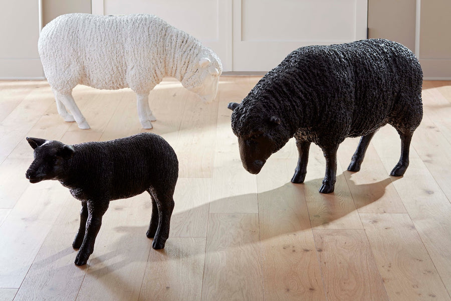Texelaar Sheep, Lamb, Gel Coat Black