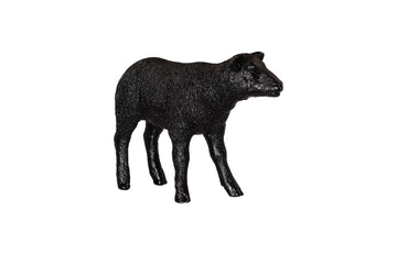 Texelaar Sheep, Lamb, Gel Coat Black