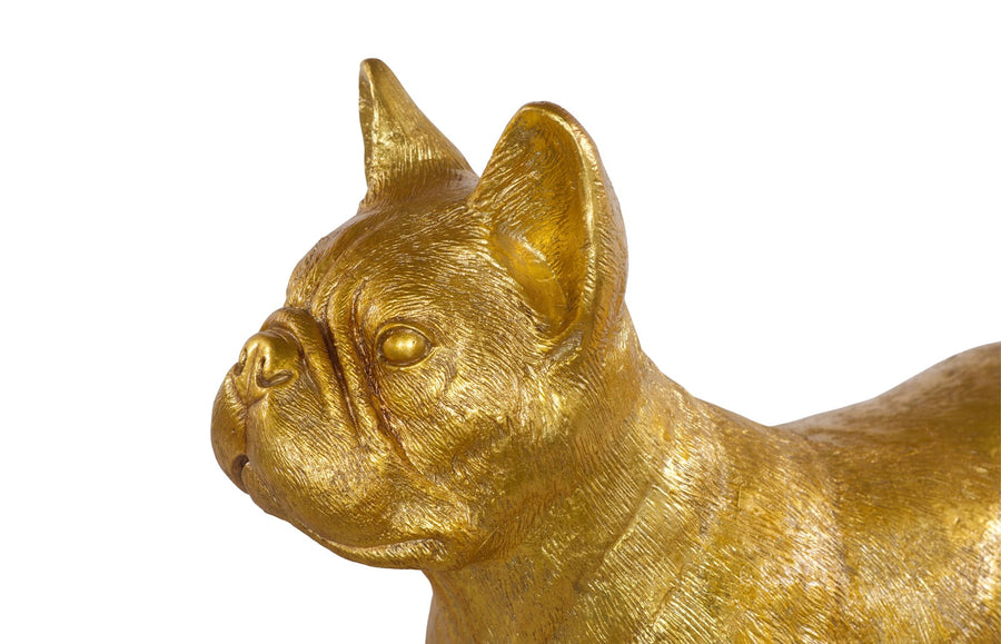 French Bulldog, Gold Leaf