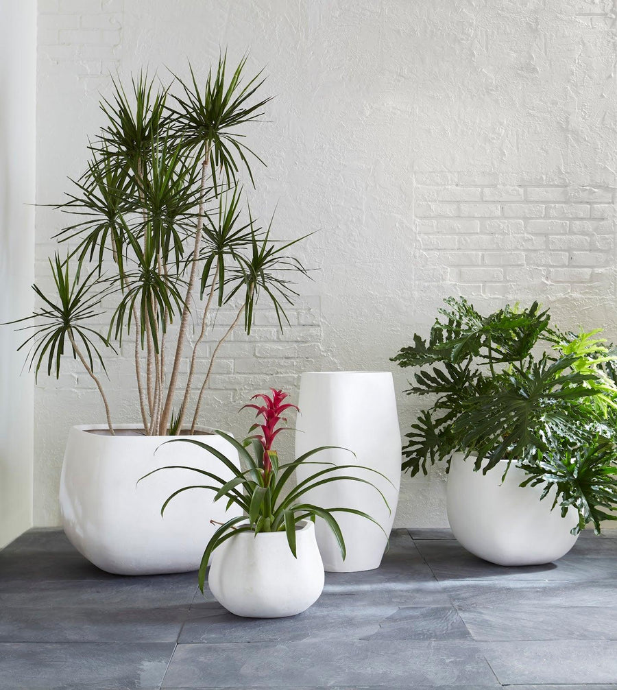 Amorphous Planter Small, White - Maison Vogue