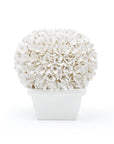 Boston Round Boxwood Topiary, Blanc de Chine