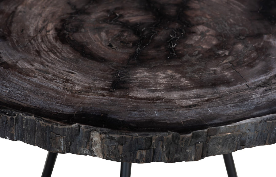 Petrified Coffee Table Round, Metal Black Base