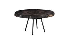 Petrified Coffee Table Round, Metal Black Base