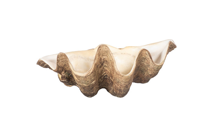 Cast Clam Shell Bowl, Faux Finish, SM