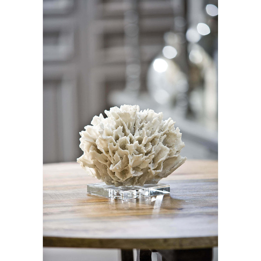 Ribbon Coral (White) - Maison Vogue