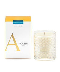 Mediterranean Jasmine Perfume Candle - Maison Vogue