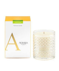 Lime & Orange Perfume Candle - Maison Vogue