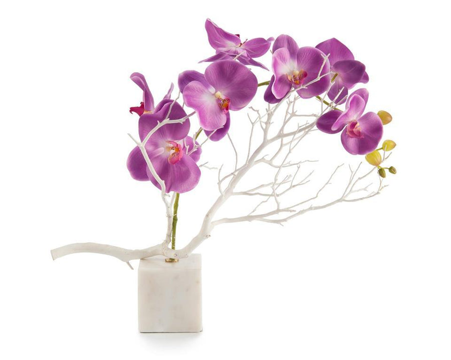 Marble Orchids - Maison Vogue