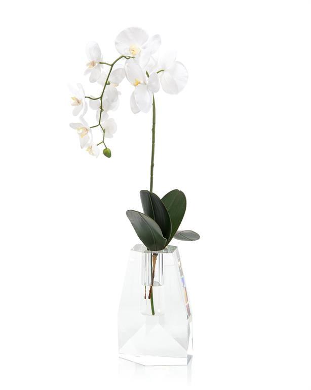 Crystal Orchid - Maison Vogue