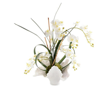 White Orchids - Maison Vogue
