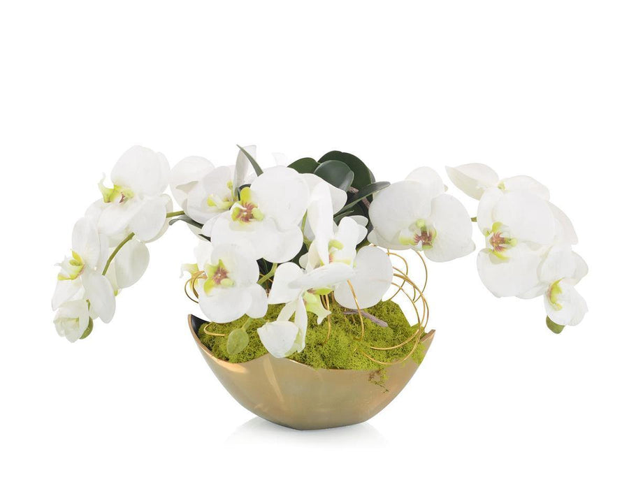 Fallen Orchids - Maison Vogue
